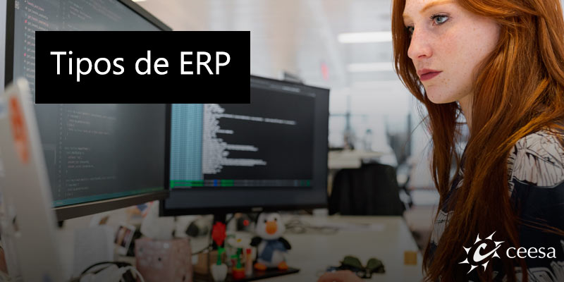 tipos de ERP